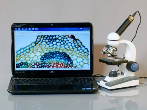 AmScope 40X-1000X Student Biological Compound Microscope - Image 2