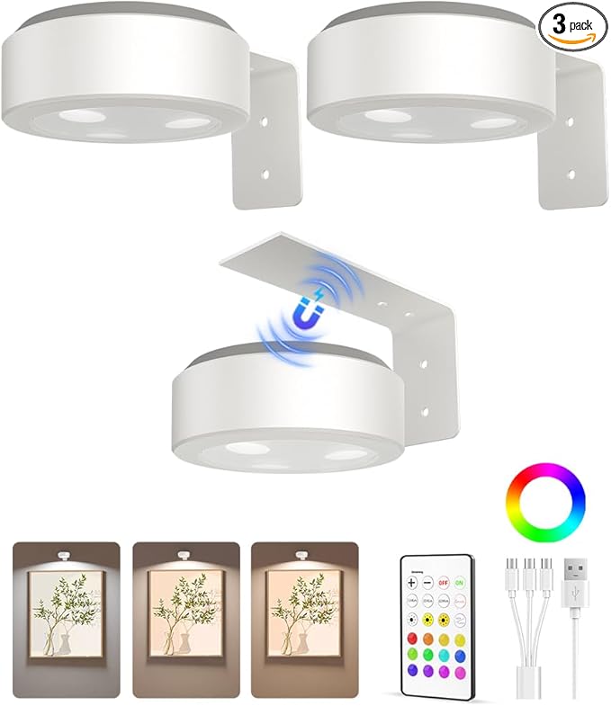 EZVALO Picture Lights for Wall, 2000mAh Rechargeable Battery Magnetic Poster by EZVALO