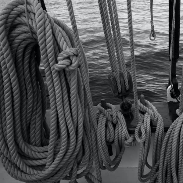 Rope & Cord 12-Strand DYMAX Rope | Gray | 10, 600 ft | ½, 5/16 in | Made in The - Image 3