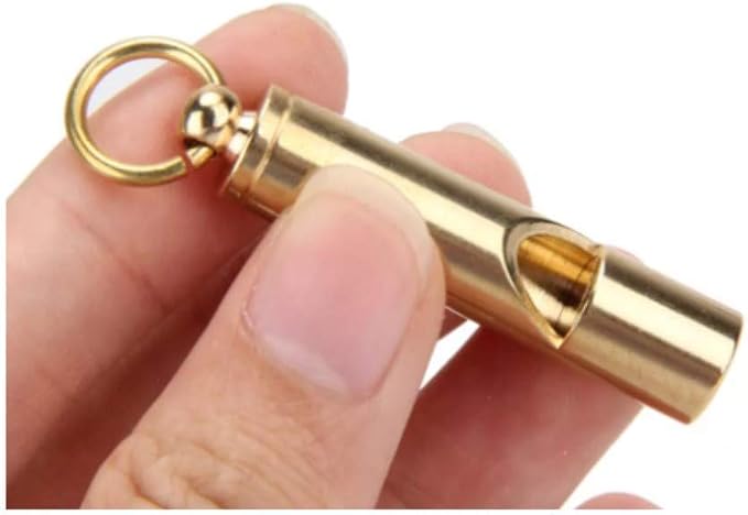 Brass Compass with Solid Brass Whistle - Image 5