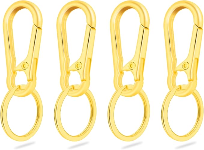 CooBigo 4Pack Small Keychain Rings, Metal Key Carabiner Clip, Mini EDC Key Ring by CooBigo