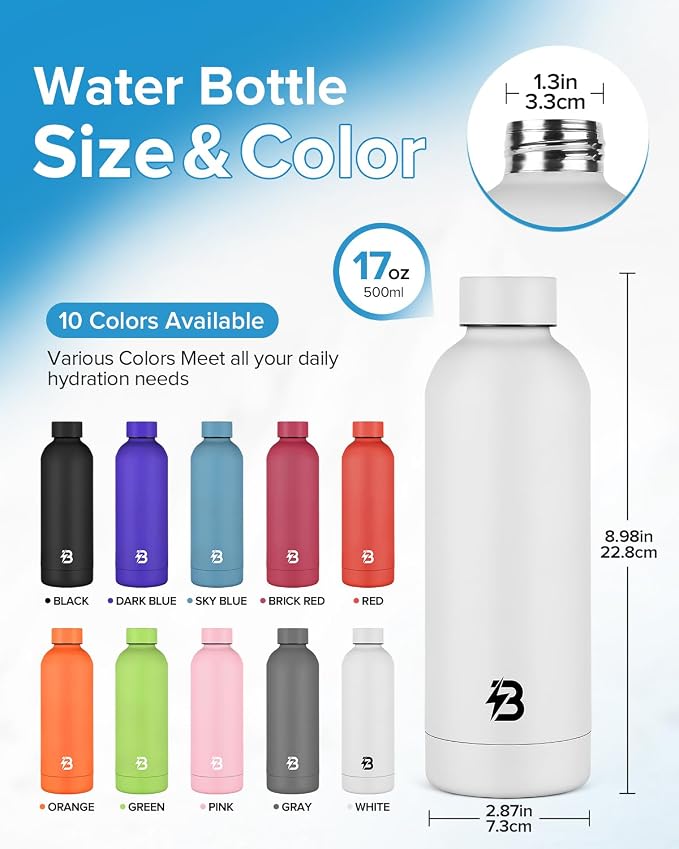 Insulated Water Bottle with Lid, 17 oz Reusable Leak-Proof Metal Stainless - Image 4