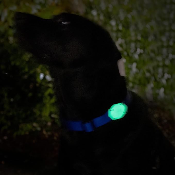 Elevation Lab AirTag Dog Collar Holder - Image 2