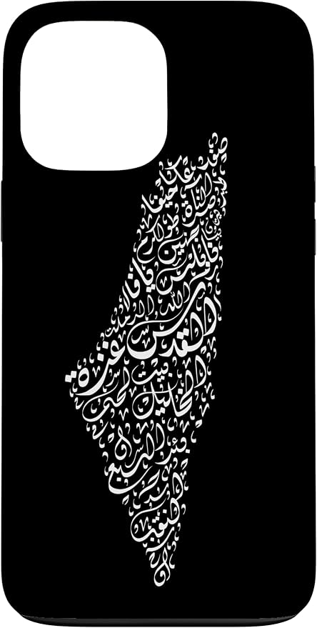 Historic Palestine Map of Cities by Unknown