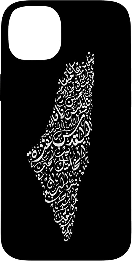 Historic Palestine Map of Cities by Unknown