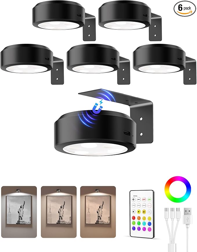 EZVALO Picture Lights for Wall, 2000mAh Rechargeable Battery Magnetic Poster by EZVALO
