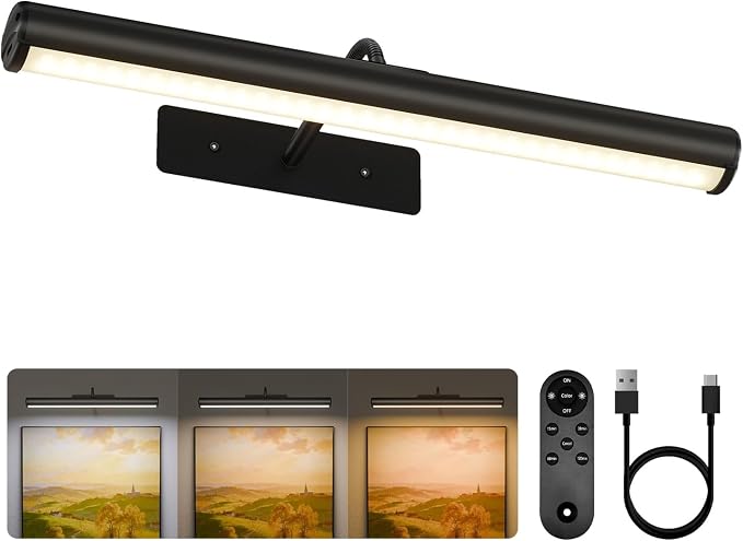 EZVALO Picture Lights for Wall, 16in Rechargeable 6000mAh Battery Operated by EZVALO