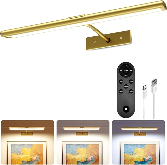 EZVALO Picture Light for Wall, 4800mAh Rechargeable Wireless Remote, 16in by EZVALO