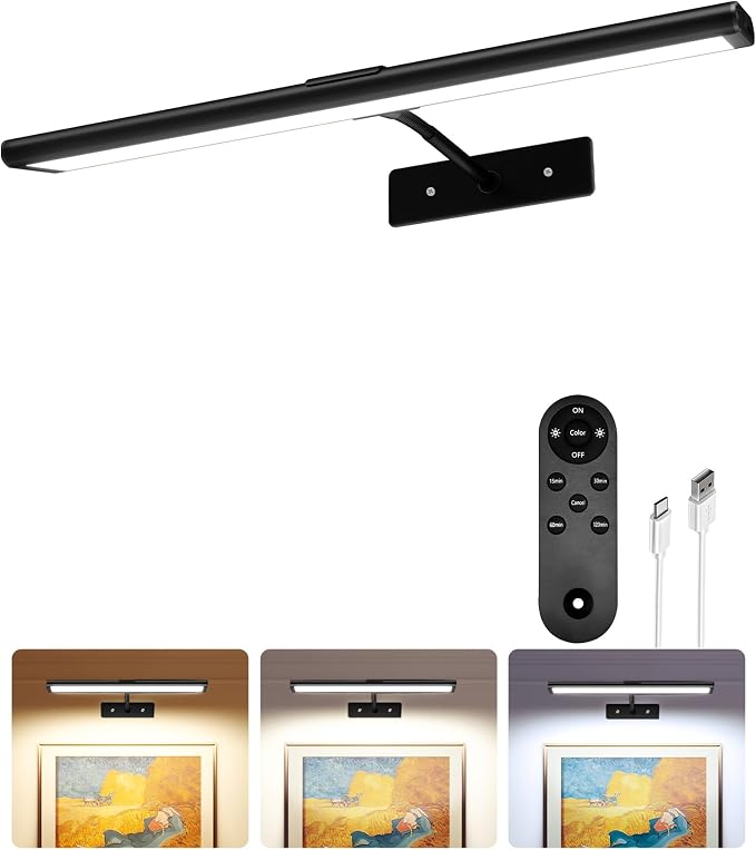 EZVALO Picture Light for Wall, Magnetic LED Art Painting Light by EZVALO