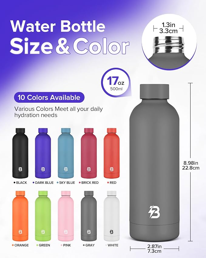 Insulated Water Bottle with Lid, 17 oz Reusable Leak-Proof Metal Stainless - Image 4
