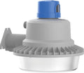 Lithonia Lighting BarnGuard LED Barn Light, Dusk to Dawn Outdoor Lighting by AcuityBrands