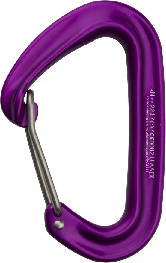 Mini II D-Shape Carabiner by TAHR Equipment - Image 2