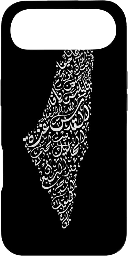 Historic Palestine Map of Cities by Unknown