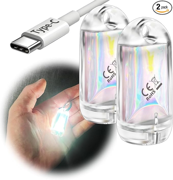 USB Mini LED Lantern, 2 Pack Waterproof EDC Keychain LED Flashlight by DOKEEP