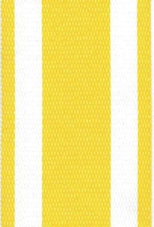 Lawn Chair USA Replacement Lawn Chair Webbing by LawnChairUSA
