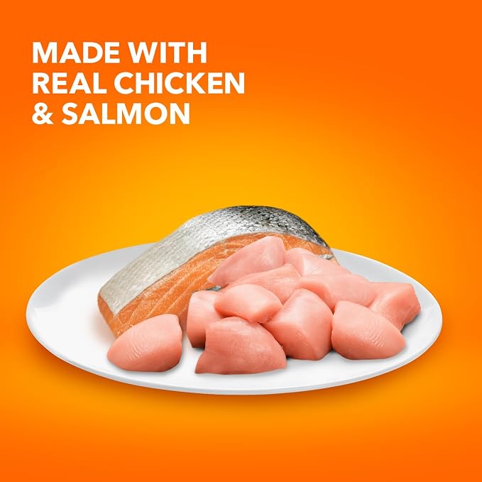 IAMS Healthy Enjoyment Dry Cat Food Chicken & Salmon Recipe, Cat Food Dry Recipe - Image 3