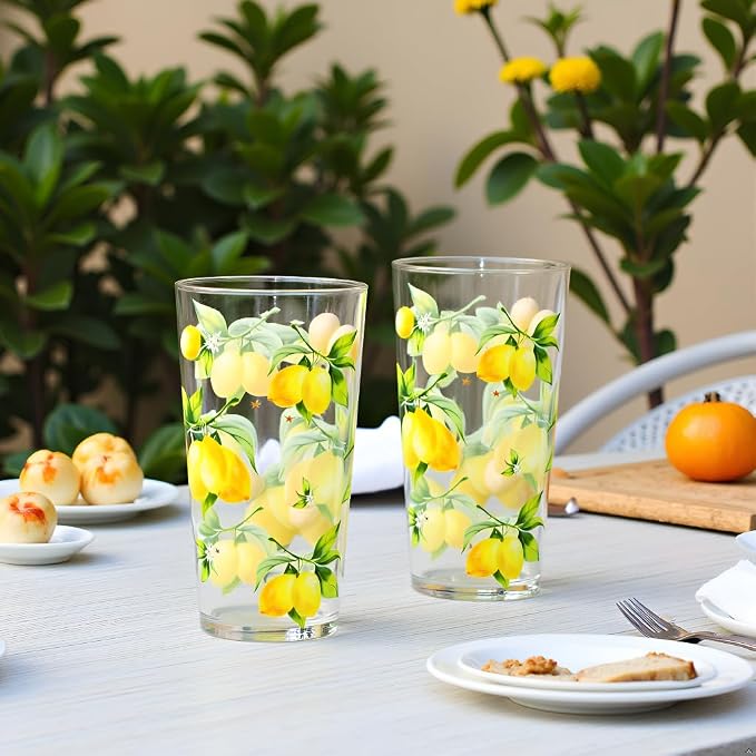 Reston Lloyd Calypso Basics Fresh Lemons 19 oz Acrylic Drinkware Set of 6 – - Image 11
