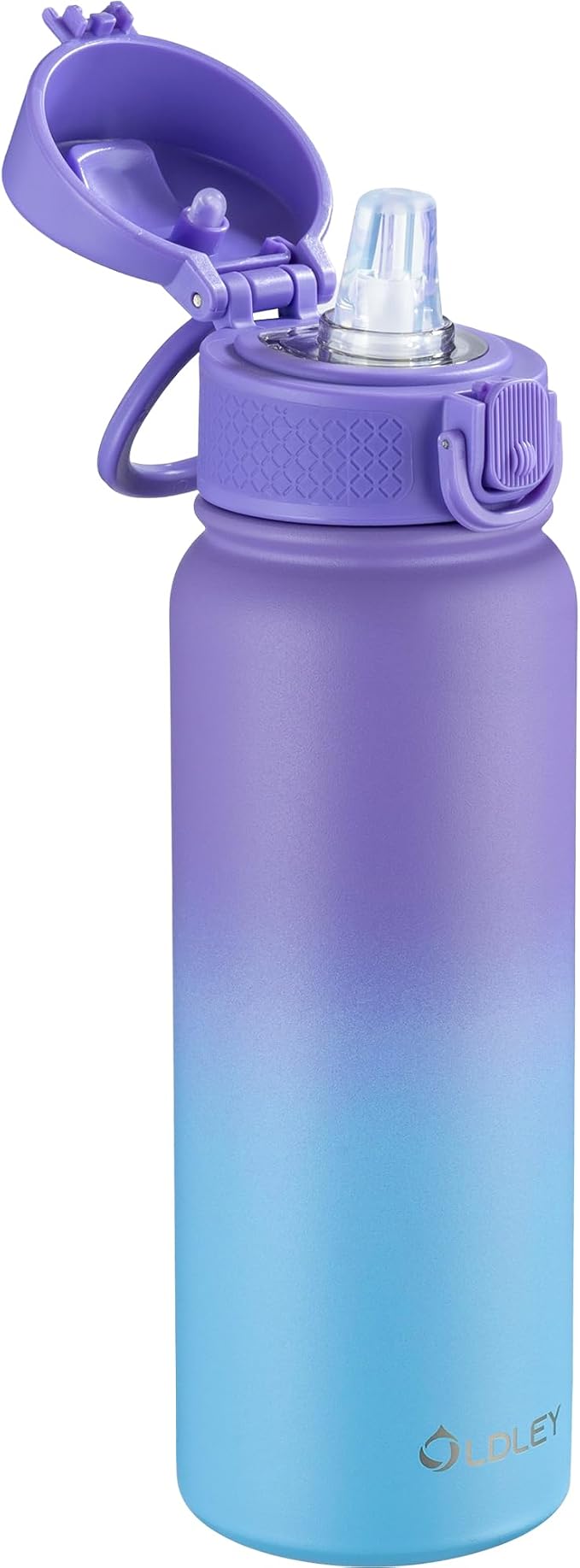 OLDLEY 20 Oz Insulated Stainless Steel Water Bottle by OLDLEY