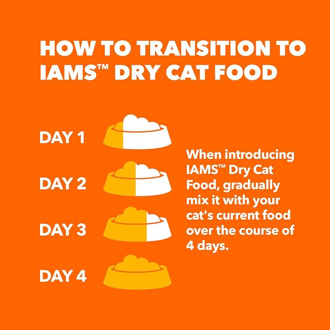 IAMS Healthy Enjoyment Dry Cat Food Chicken & Salmon Recipe, Cat Food Dry Recipe - Image 8