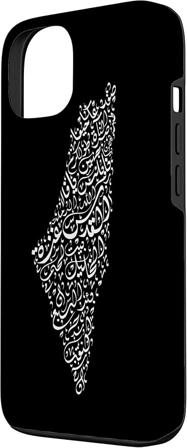 Historic Palestine Map of Cities - Image 2