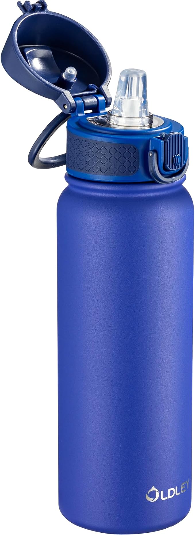 OLDLEY 20 Oz Insulated Stainless Steel Water Bottle by OLDLEY