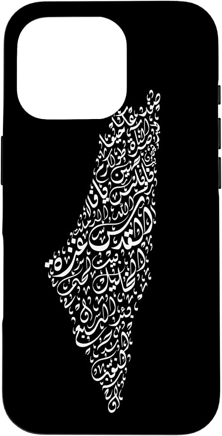 Historic Palestine Map of Cities by Unknown