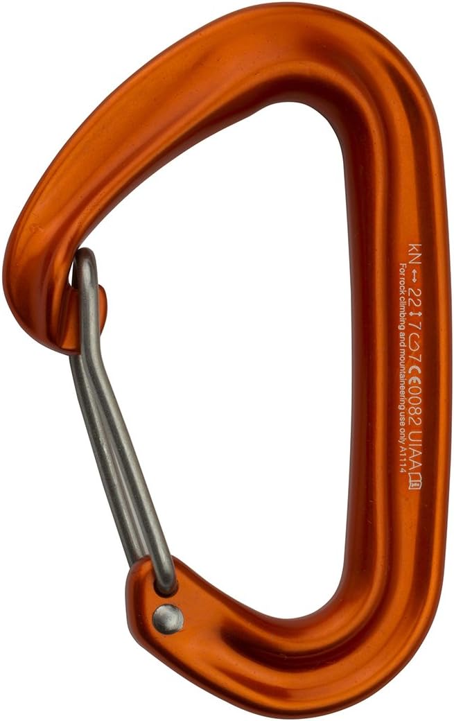 Mini II D-Shape Carabiner by TAHR Equipment by Metolius