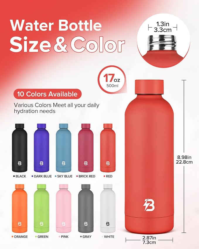 Insulated Water Bottle with Lid, 17 oz Reusable Leak-Proof Metal Stainless - Image 4