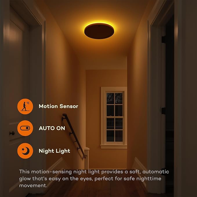 Annaror 2Pack Motion Ceiling Light - Image 4