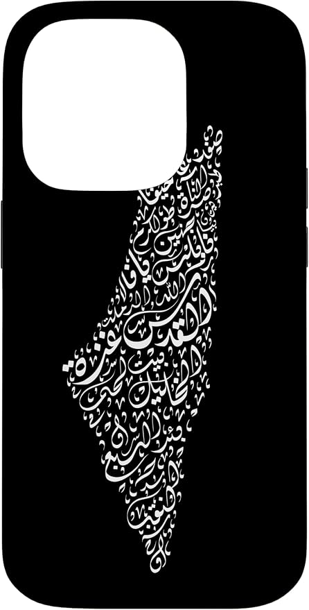 Historic Palestine Map of Cities by Unknown
