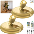 Rechargeable Battery LED Spotlight Indoor: Wireless Mini Art Accent Spot Lights by Unknown