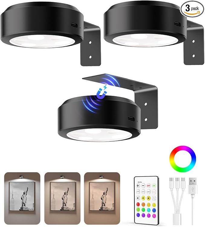 EZVALO Picture Lights for Wall, 2000mAh Rechargeable Battery Magnetic Poster by EZVALO