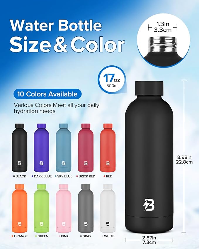 Insulated Water Bottle with Lid, 17 oz Reusable Leak-Proof Metal Stainless - Image 4