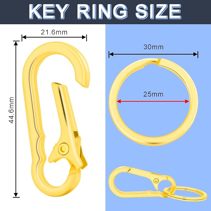 CooBigo 4Pack Small Keychain Rings, Metal Key Carabiner Clip, Mini EDC Key Ring - Image 2