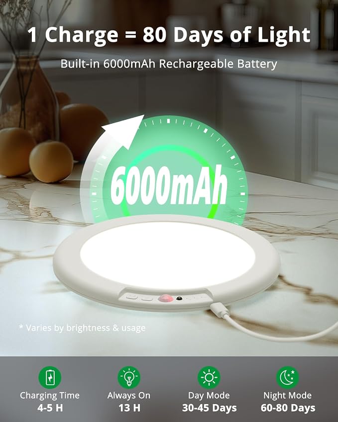 Bojim Rechargeable Ceiling Lights - Image 2