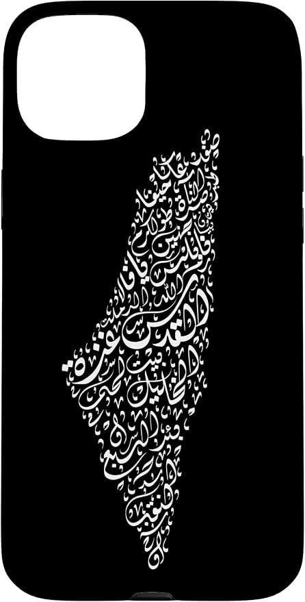 Historic Palestine Map of Cities by Unknown