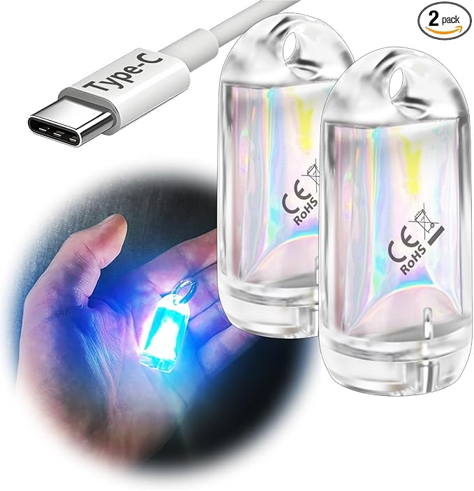 USB Mini LED Lantern, 2 Pack Waterproof EDC Keychain LED Flashlight by DOKEEP