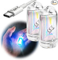 USB Mini LED Lantern, 2 Pack Waterproof EDC Keychain LED Flashlight by DOKEEP