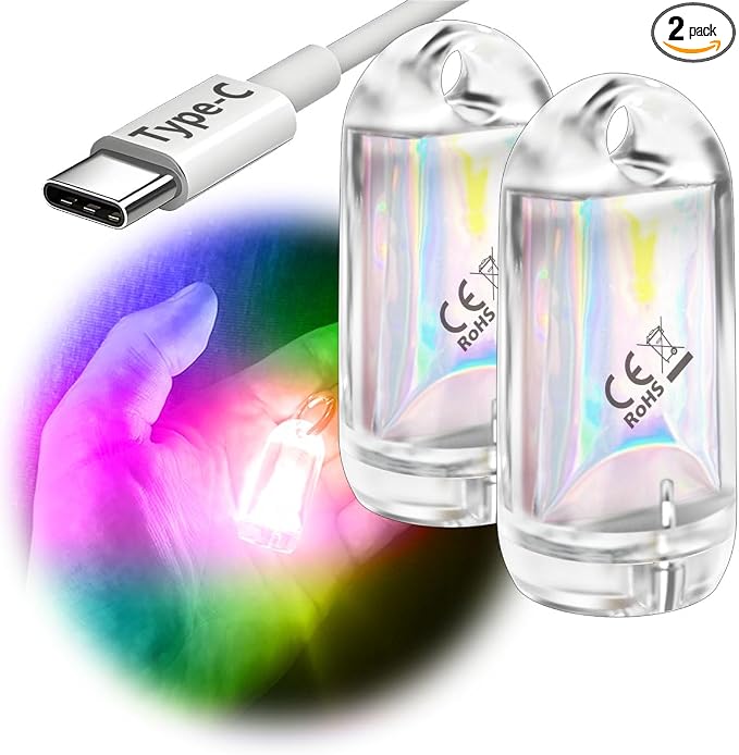 USB Mini LED Lantern, 2 Pack Waterproof EDC Keychain LED Flashlight by DOKEEP