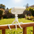 Solar Lights, Outdoor Solar Motion-Activated Light by Solarlight