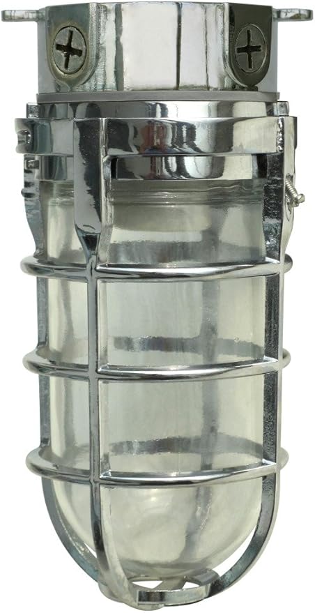 Woods L1706CH Vandal Resistant 150W Incandescent Security Light, Ceiling Mount by Woods