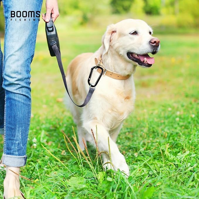 Booms Fishing CC2 Carabiner Clip, 2.3" Small Carabiner Keychain - Image 3