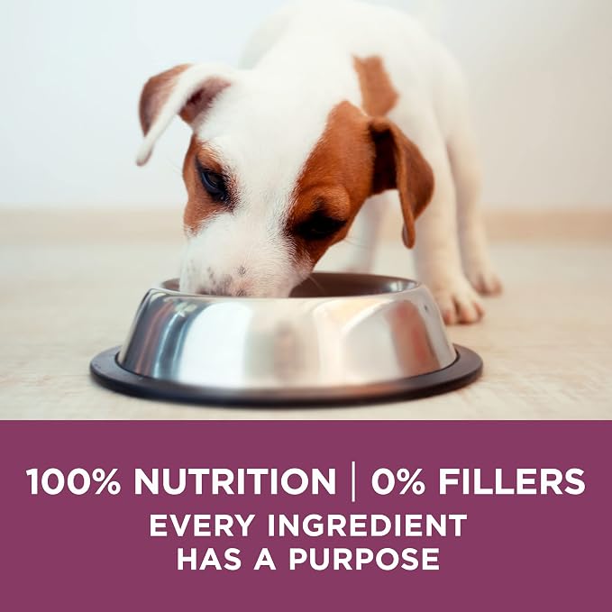 Purina ONE Puppy Food, High Protein Formula | Natural Ingredients | Added - Image 10