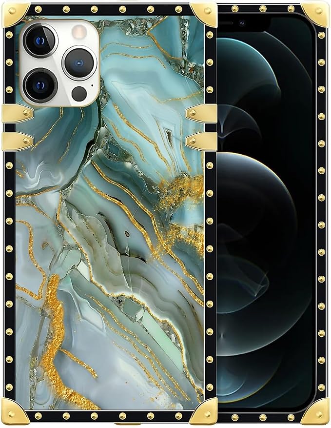 Compatible with iPhone 12 Pro Max Case by Unknown