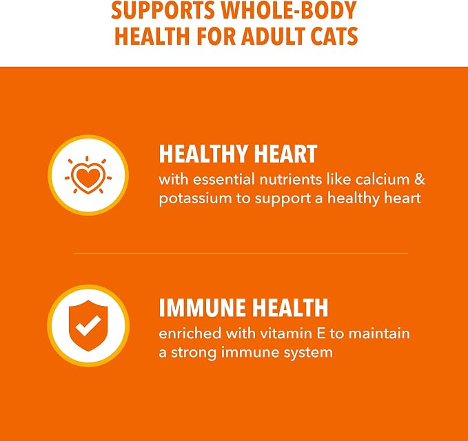 IAMS Proactive Health Dry Cat Food, Healthy Cat Food Dry Recipe - Image 4