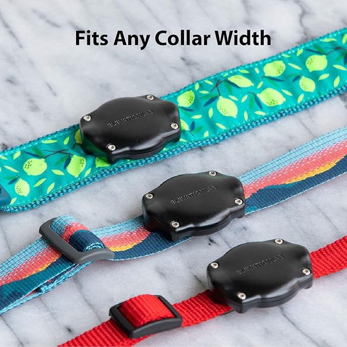 Elevation Lab AirTag Dog Collar Holder - Image 6