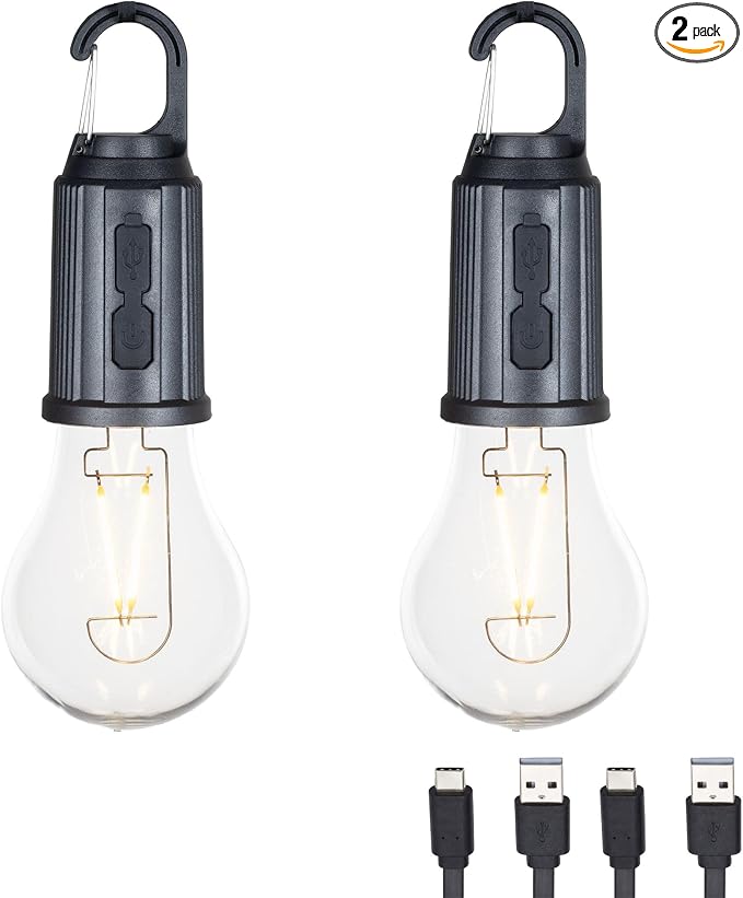 2-Pack Rechargeable Camp Light, Warm White LED Globe Bulb, Battery Powered by FestiveLiving