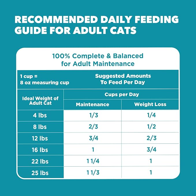 IAMS Proactive Health Dry Cat Food, Indoor Weight and Hairball Care Cat Food - Image 9