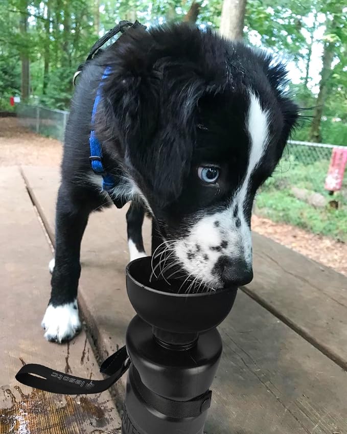 lesotc Dog Water Bottle, Portable Water Dispenser - Image 7