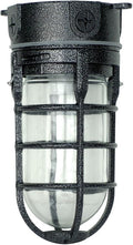 Woods L1706BLK Vandal Resistant 150W Incandescent Security Light, Ceiling Mount by Woods